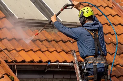 Démoussage et hydrofuge de toiture à Aron